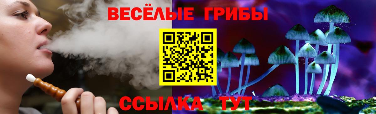 Псилоцибиновые грибы MAGIC MUSHROOMS  Вход с VPN  Пыть-Ях 